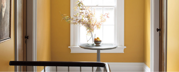Introducing the Benjamin Moore Colour of the Year for 2022 and Colour Trends