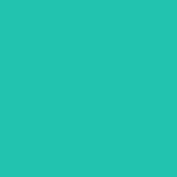 2046-40 绿色海绵