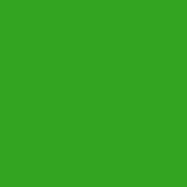 2030-10 蜥蜴绿
