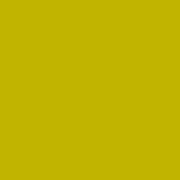 2024-10 黄绿色