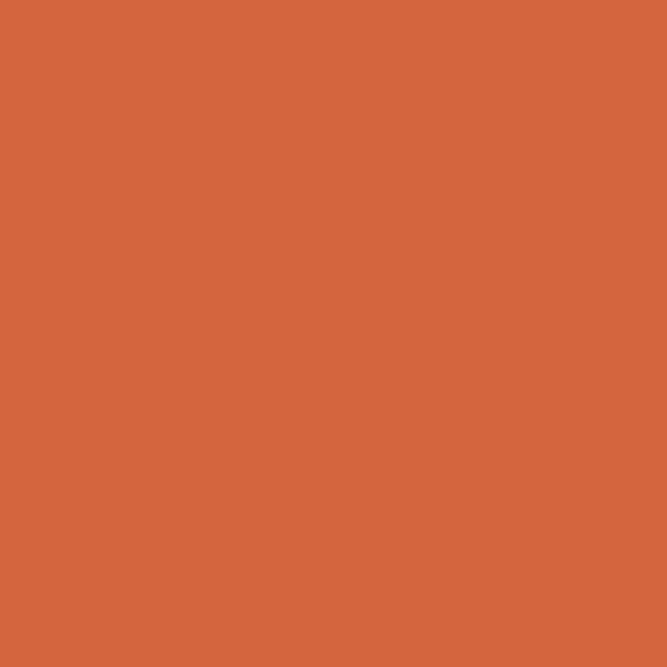 2169-20 橙色鹦鹉